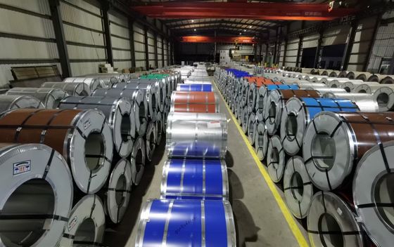 Coil di acciaio PPGI/PPGL competitivo Q23B DX51D Coil di acciaio galvanizzato preverniciato per larghezza 1000-1250 mm e lunghezza personalizzata