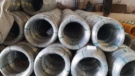 Non legato SAE1006 Filtro laminato a caldo Z35 Filtro di acciaio galvanizzato in bobine per la fabbricazione di chiodi Tolleranza ±1% ±1% Tolleranza