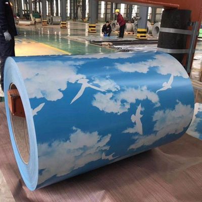 SGCC Z60 PPGI Galvanizzato Color Coated Coil con personalizzazione e varie selezioni di colore