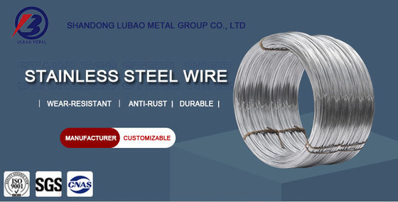 Diretto 304 304L 316 316L filo in acciaio inossidabile con tolleranza ± 1% e AiSi standard