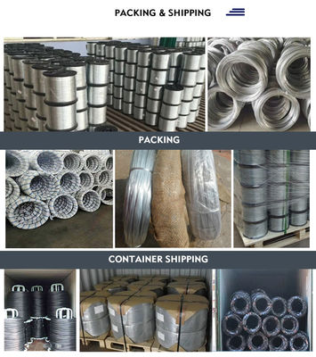Acciaio a rubrica fredda di grado AISI Alto carbonio 0,5 mm 1,0 mm 1,5 mm filo galvanizzato per e Speciali