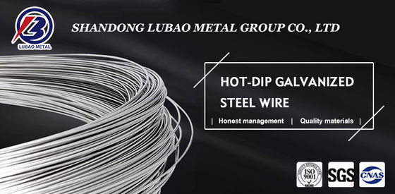 ASTM/AISI/SGCC/CGCC/TDC51DZM Grado 0,5 mm Acciaio ad alto carbonio filo di ferro galvanizzato a caldo per materiali da costruzione
